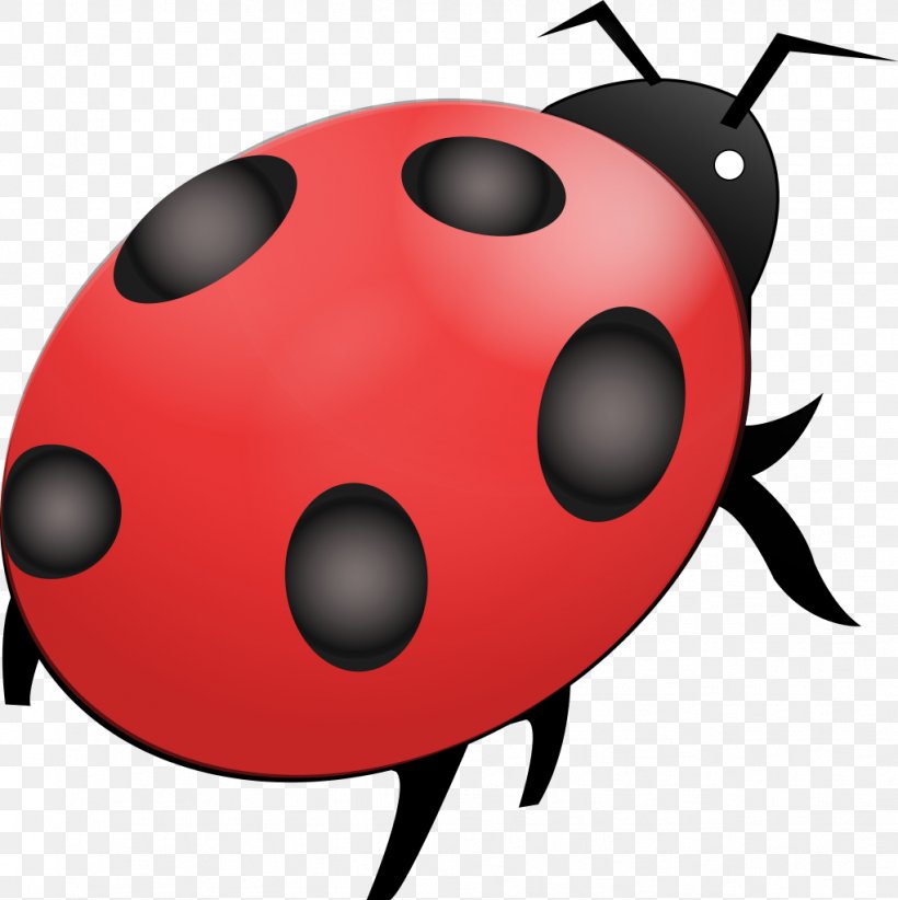 Insect Nuvola Ladybird Free Software, PNG, 1021x1024px, Insect, Bash, Beetle, Biology, Computer Program Download Free