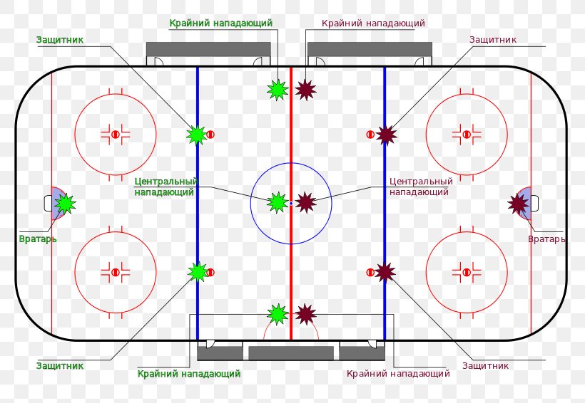 National Hockey League Ice Hockey Hockey Puck Hockey Field Baliza, PNG, 800x566px, Watercolor, Cartoon, Flower, Frame, Heart Download Free
