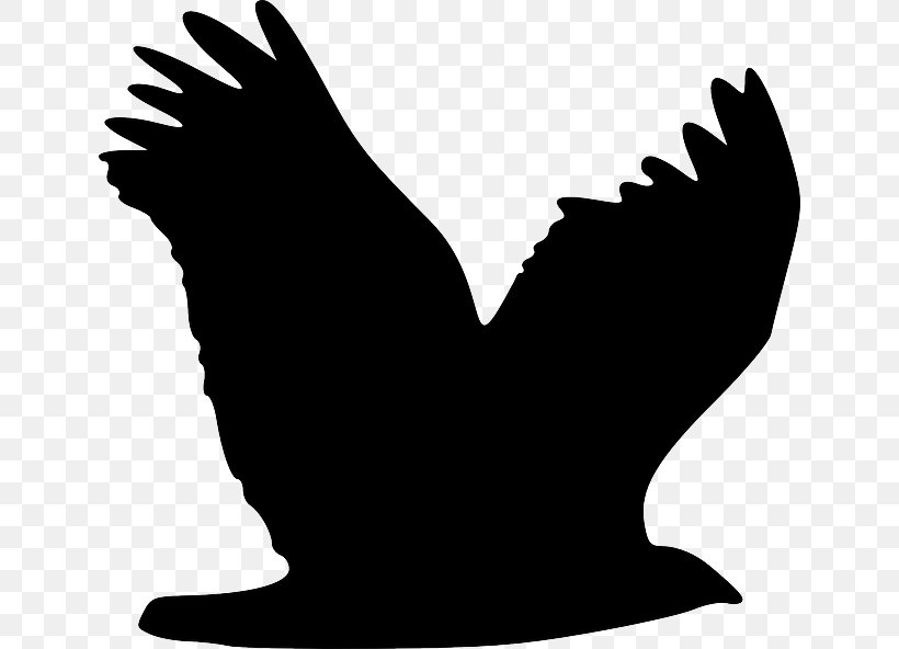 Bald Eagle White-tailed Eagle Bird Clip Art, PNG, 640x592px, Bald Eagle, Accipitridae, Beak, Bird, Black And White Download Free