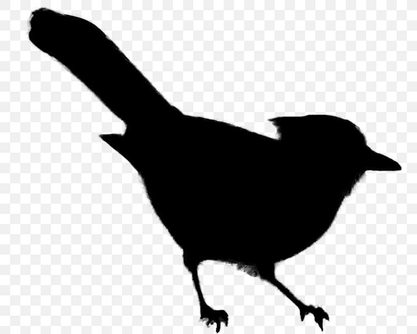 Beak Clip Art Fauna Silhouette Landfowl, PNG, 788x656px, Beak, Bird, Crowlike Bird, Fauna, Landfowl Download Free
