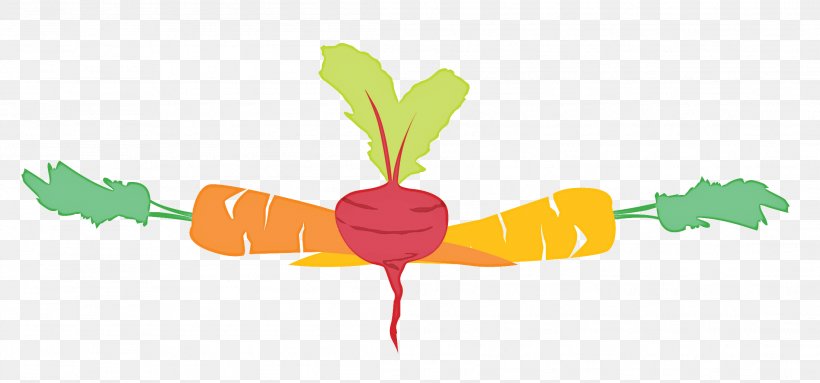 Carrot Leaf Clip Art Plant Stem Vegetable, PNG, 2204x1031px, Carrot, Leaf, Plant, Plant Stem, Vegetable Download Free