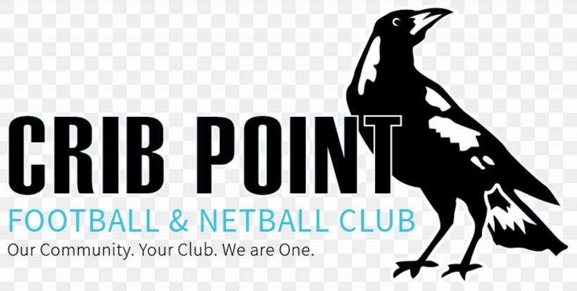 Crib Point Football Team Netball Australian Rules Football Association, PNG, 2255x1136px, Football Team, Advertising, Association, Australia, Australian Rules Football Download Free