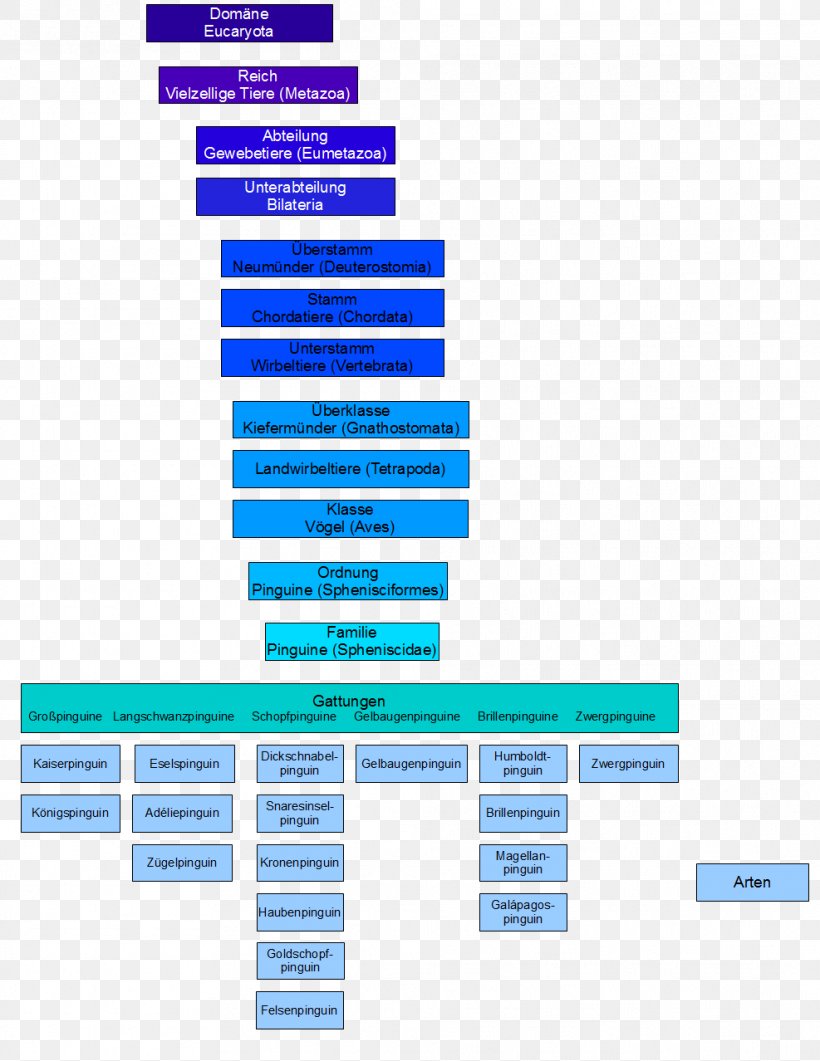 Penguin ござ Brand Systematics Organization, PNG, 987x1278px, Penguin, Area, Brand, Diagram, Nahrung Download Free