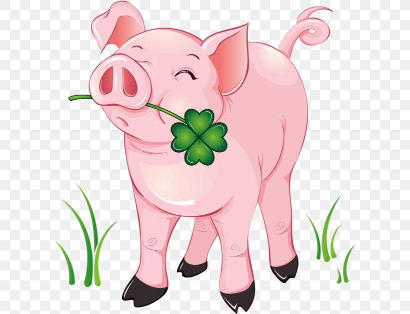Domestic Pig Clip Art Image Vector Graphics, PNG, 600x627px, Watercolor, Cartoon, Flower, Frame, Heart Download Free