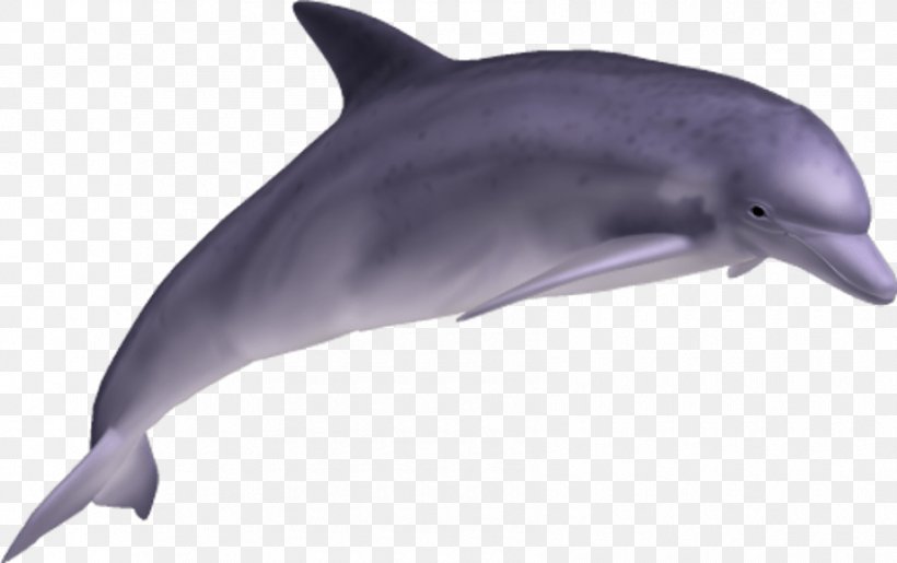 Clip Art Image Psd Transparency, PNG, 850x534px, Dolphin, Animal Figure, Bottlenose Dolphin, Cetacea, Common Bottlenose Dolphin Download Free