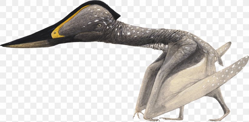 Pterosaurs Jidapterus Flying Reptiles Azhdarchidae Beak, PNG, 2000x986px, Pterosaurs, Age Of Dinosaurs, Animal, Animal Figure, Azhdarchidae Download Free