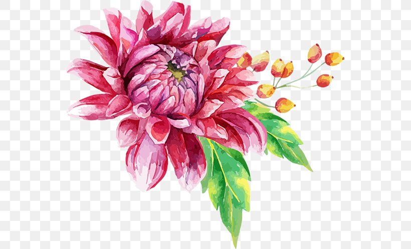 Dahlia Cut Flowers Floral Design, PNG, 555x496px, Dahlia, Chrysanths, Cut Flowers, Daisy Family, Drawing Download Free