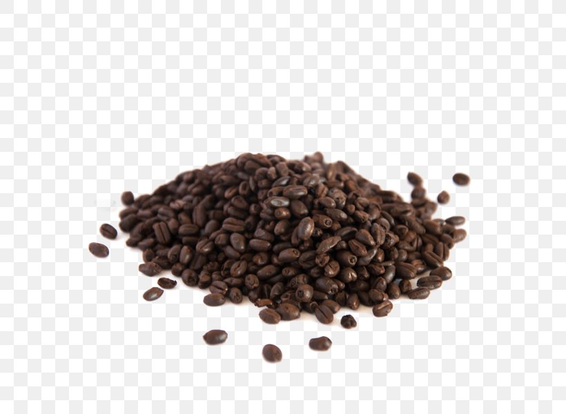 Pilsner Beer Malt Kona Coffee Seed, PNG, 600x600px, Pilsner, Assam Tea, Barley, Bean, Beer Download Free