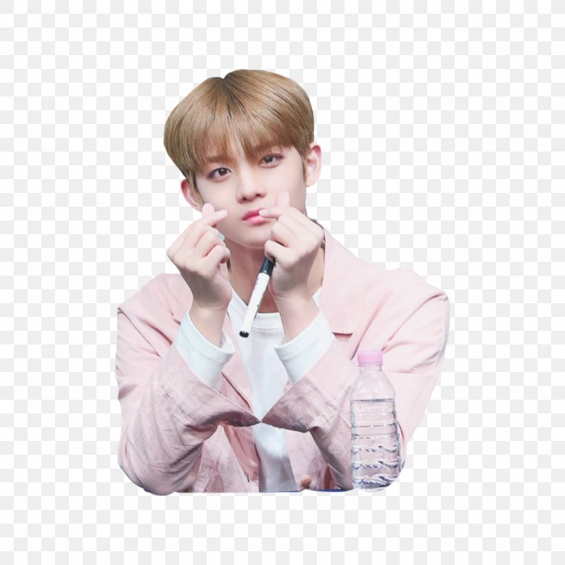 Wanna One Sticker, PNG, 2048x2048px, Watercolor, Cartoon, Flower, Frame, Heart Download Free