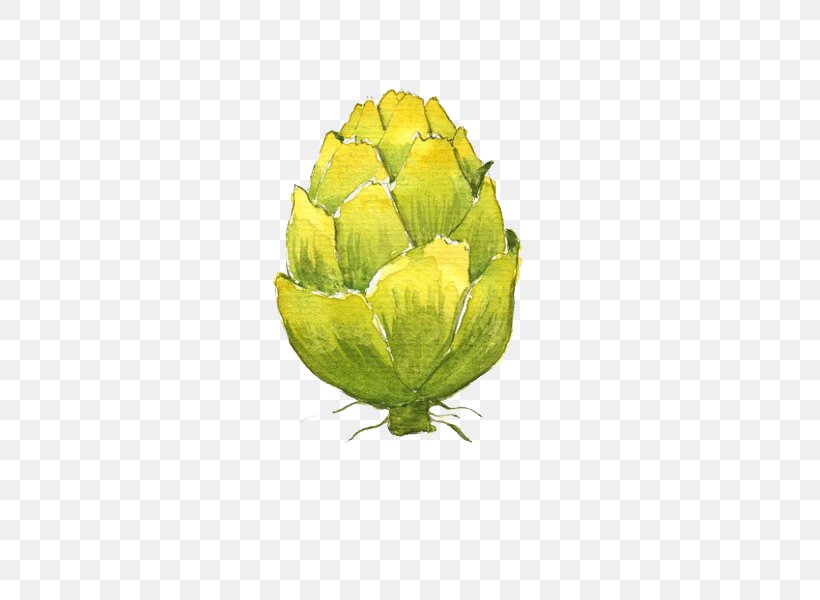 Watercolor Painting Artichoke Illustration, PNG, 482x600px, Watercolor Painting, Art, Artichoke, Beef, Cartoon Download Free