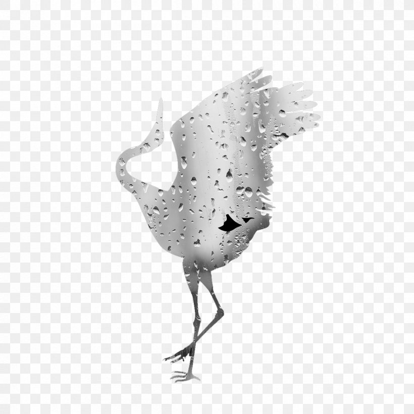 Crane White Drop, PNG, 1200x1200px, Crane, Beak, Bird, Black And White, Chicken Download Free
