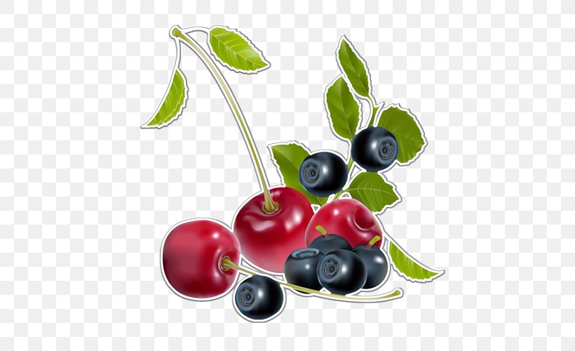 Blueberry Fruit Food, PNG, 500x500px, Blueberry, Berry, Bilberry, Blackberry, Cherry Download Free