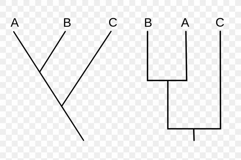 Cladistics Cladogram Biology Phylogenetics Taxon, PNG, 2000x1333px, Cladistics, Apomorfi, Area, Biology, Black Download Free