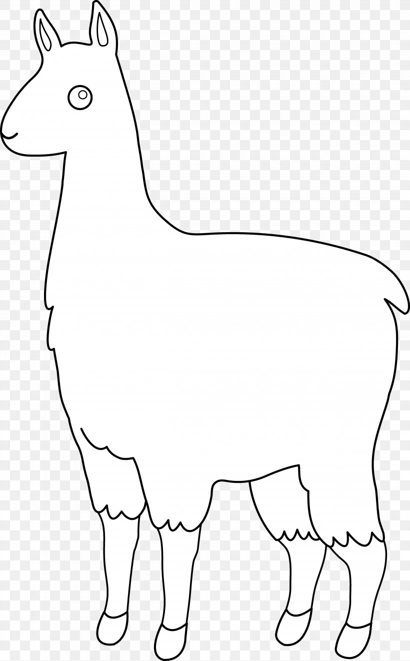 Llama Alpaca Line Art Clip Art, PNG, 4994x8047px, Llama, Alpaca, Animal Figure, Area, Beak Download Free
