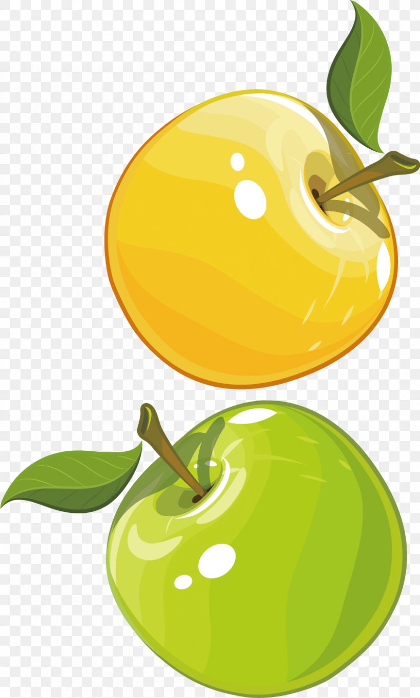Material Clip Art, PNG, 845x1403px, Material, Food, Fruit, Green, Leaf Download Free