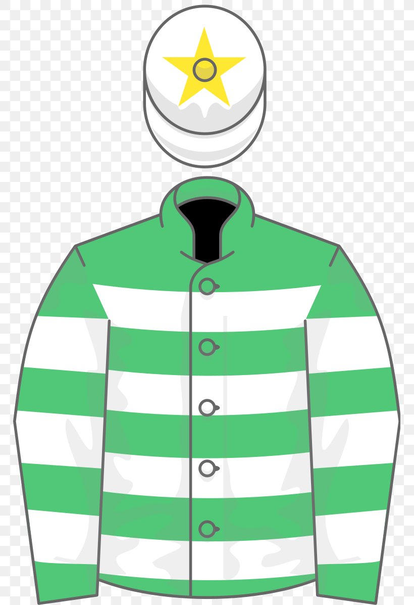 Champion Hurdle Horse Galway Hurdle The Grand National Arkle Novice Chase, PNG, 767x1197px, Champion Hurdle, Brand, Clothing, Grand National, Green Download Free