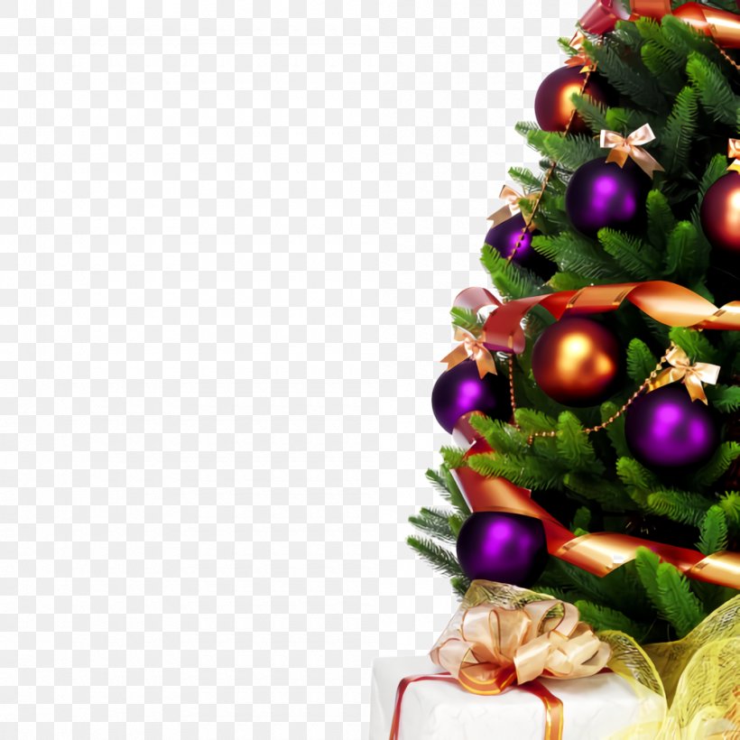 Christmas Decoration, PNG, 1000x1000px, Christmas Decoration, Christmas, Christmas Ornament, Christmas Tree, Fir Download Free