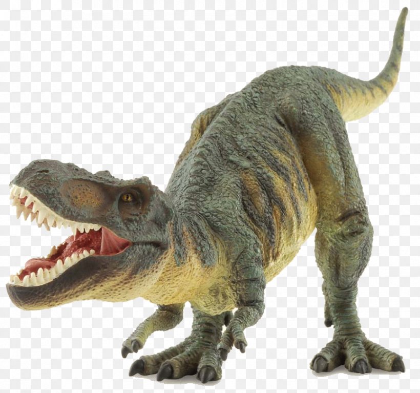 The Tyrannosaurus Rex Dinosaur Prehistoric Life, PNG, 866x811px, Tyrannosaurus, Animal Figure, Carnivore, Child, Cretaceous Download Free