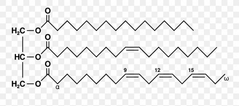 Triglyceride Fatty Acid Lipid, PNG, 969x429px, Glyceride, Acid, Area, Biochemistry, Biology Download Free