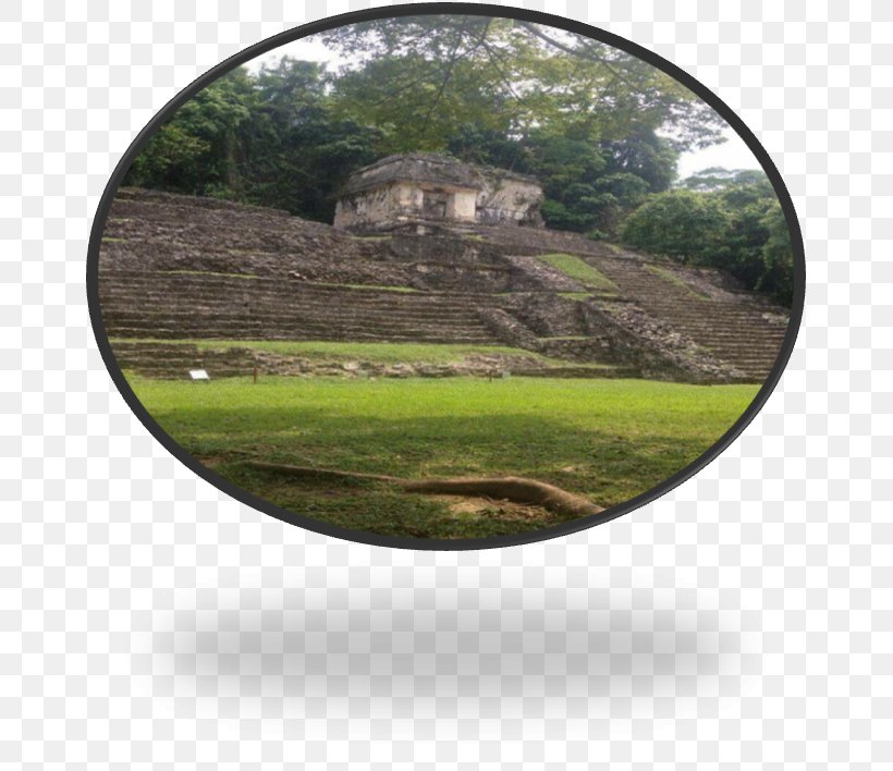 Archaeological Site Landscape Archaeology, PNG, 665x708px, Archaeological Site, Archaeology, Grass, Landscape, Tree Download Free