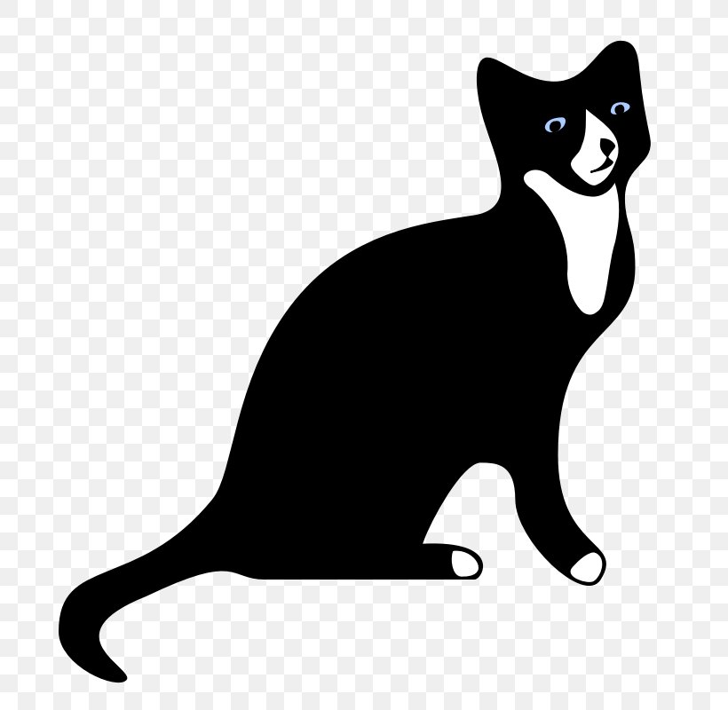Cat Dog Kitten Mouse Horse, PNG, 800x800px, Cat, Bicolor Cat, Black, Black And White, Black Cat Download Free