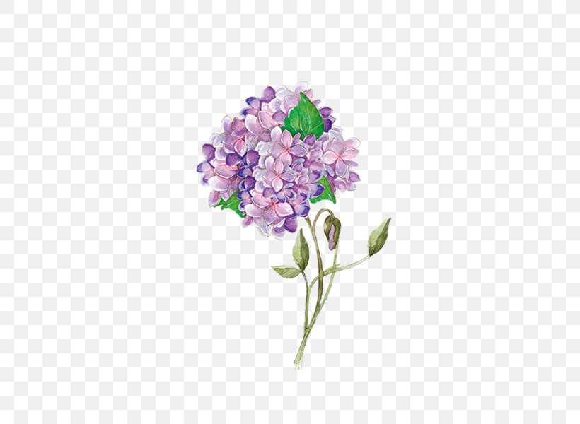 Watercolor Painting, PNG, 600x600px, Watercolor Painting, Calendar, Computer Graphics, Cornales, Cut Flowers Download Free