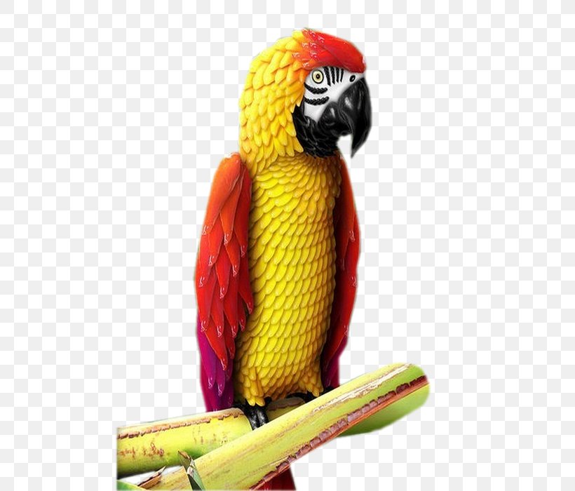 Bird Macaw Parakeet Beak, PNG, 490x700px, Bird, Beak, Common Pet Parakeet, Macaw, Net Download Free