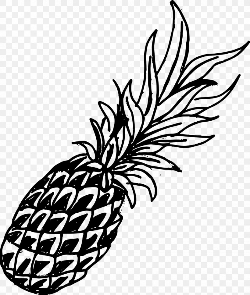 Clip Art Drawing Image Watercolor Painting, PNG, 867x1024px, Drawing, Ananas, Art, Attalea Speciosa, Blackandwhite Download Free