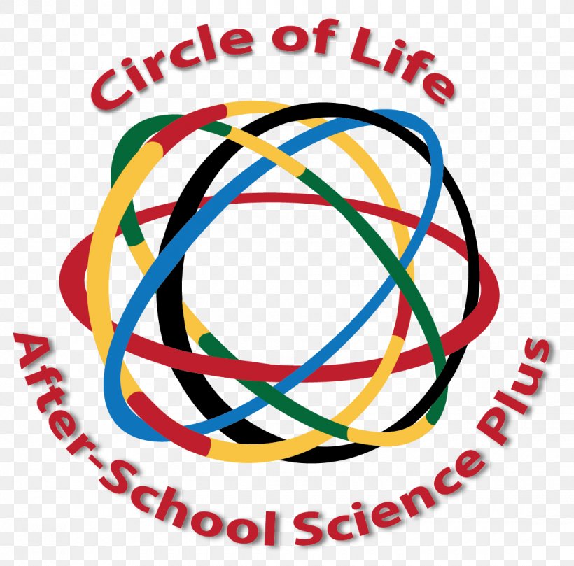 Clip Art Line Point School Circle, PNG, 1120x1106px, Point, Area, Brand, Life, School Download Free