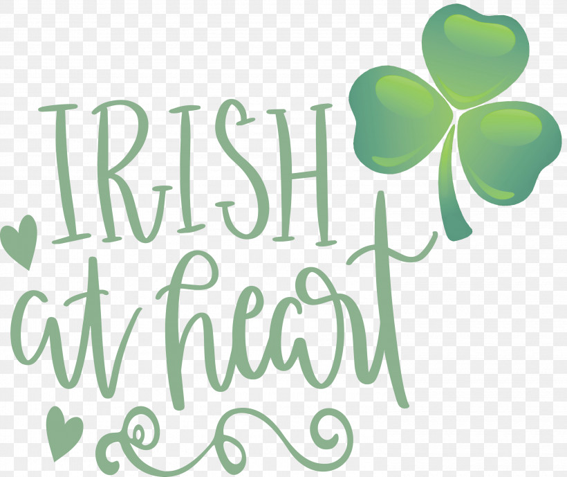 Shamrock Irish Saint Patrick, PNG, 3000x2522px, Shamrock, Biology, Green, Irish, Leaf Download Free