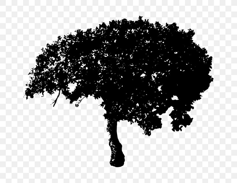 Black & White, PNG, 768x635px, Black White M, Blackandwhite, Plant, Silhouette, Tree Download Free