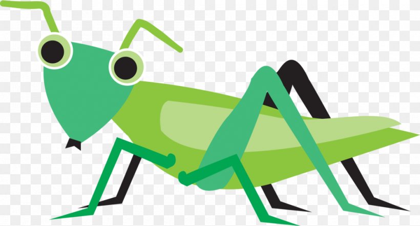 Clip Art Beetle Grasshopper Insect Image, PNG, 1000x538px, Beetle, Art, Cartoon, Cricket, Cricketlike Insect Download Free