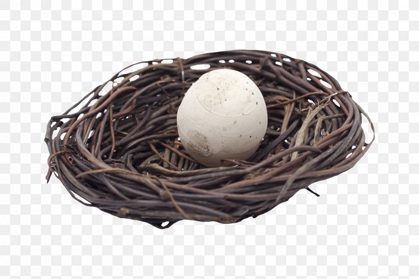 Bird Easter Egg Easter Egg, PNG, 1734x1156px, Bird, Bird Nest, Chocolate, Easter, Easter Egg Download Free