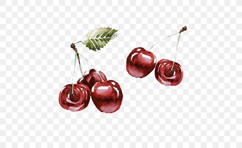 Cherry Drawing Download, PNG, 500x500px, Cherry, Drawing, Food, Fruit, Gratis Download Free