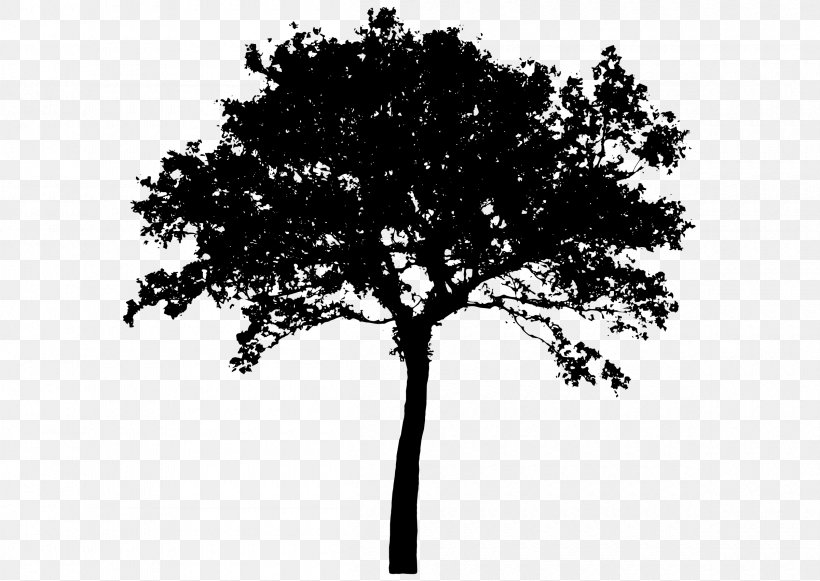 Tree Silhouette Clip Art, PNG, 2400x1703px, Tree, Art, Black And White, Branch, Leaf Download Free