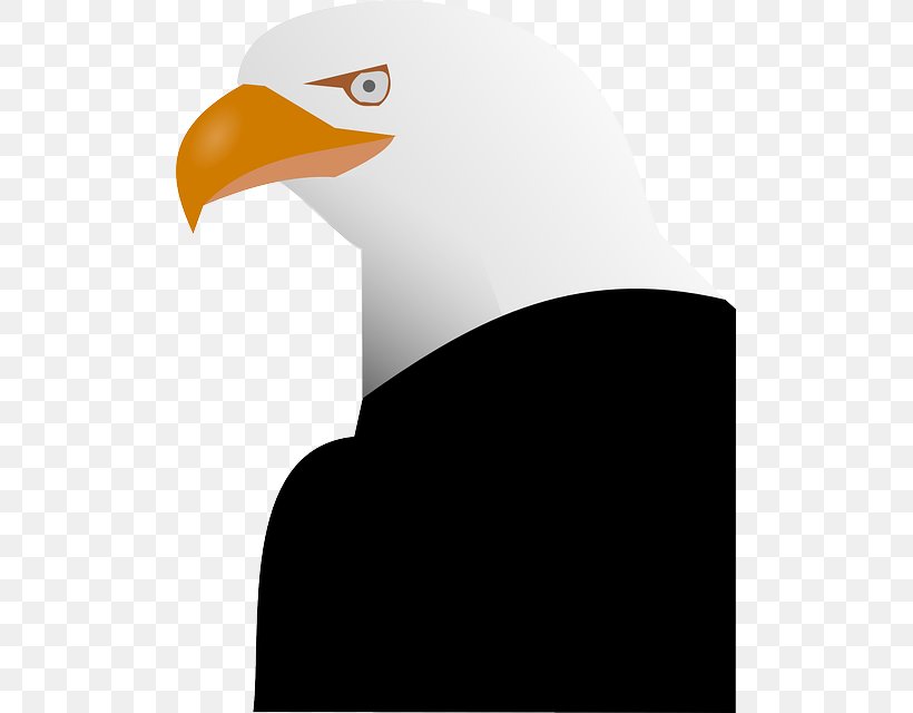Bald Eagle Bird Vector Graphics Clip Art, PNG, 503x640px, Bald Eagle, Accipitridae, Accipitriformes, Beak, Bird Download Free