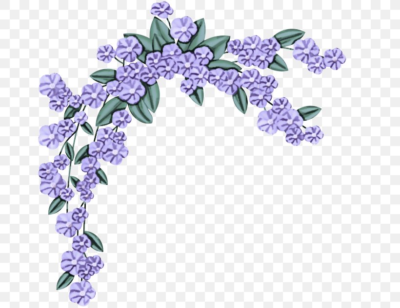 Lavender, PNG, 695x633px, Lilac, Dendrobium, Flower, Flowering Plant, Lavender Download Free