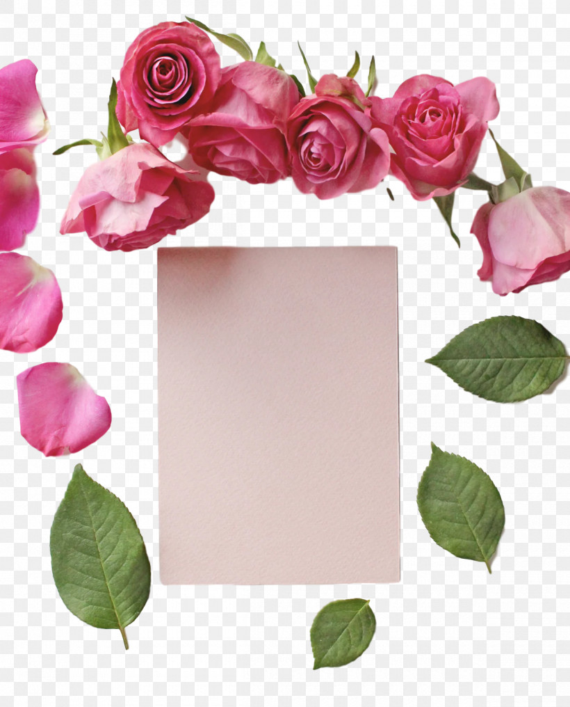 Floral Design PNG