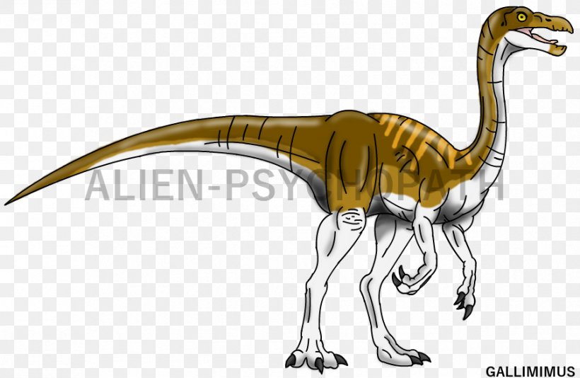 Gallimimus Dinosaur Velociraptor Tyrannosaurus Dilophosaurus, PNG, 903x589px, Gallimimus, Animal Figure, Art, Beak, Corythosaurus Download Free