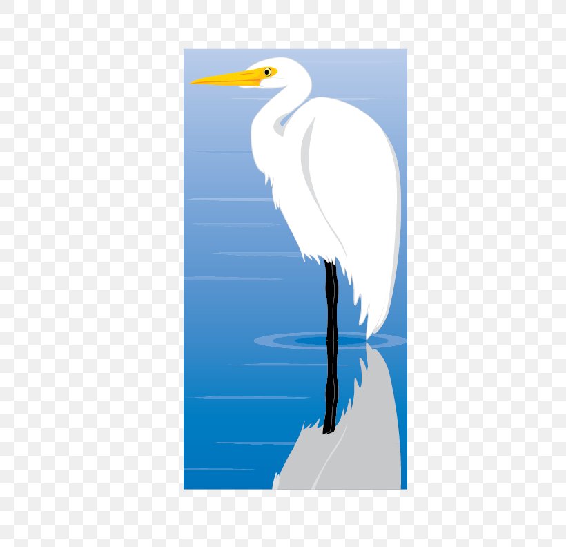 Great Egret Clip Art Bird Vector Graphics, PNG, 612x792px, Egret, Apng, Beak, Bird, Cat Download Free