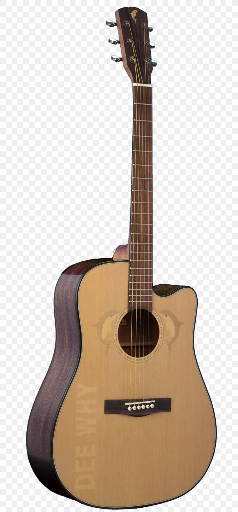 Steel-string Acoustic Guitar Dreadnought Classical Guitar, PNG, 955x2048px, Watercolor, Cartoon, Flower, Frame, Heart Download Free