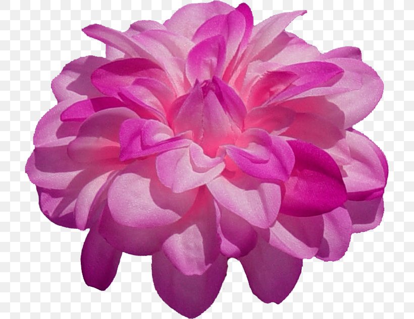Transparency And Translucency Line Creativity, PNG, 721x633px, Transparency And Translucency, Animation, Creativity, Cut Flowers, Dahlia Download Free