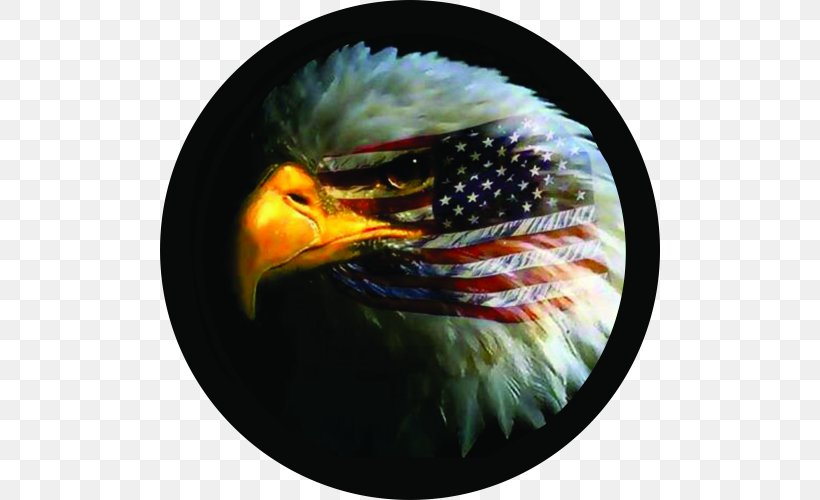 Bald Eagle Flag Of The United States Gadsden Flag, PNG, 500x500px, Bald Eagle, Beak, Bird, Bird Of Prey, Eagle Download Free