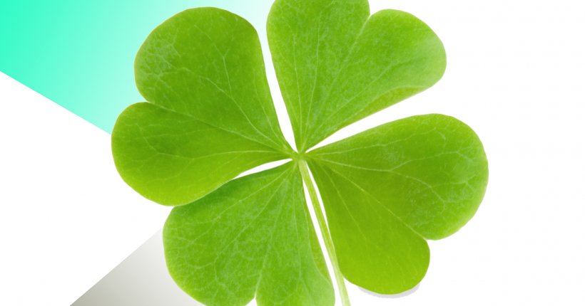 Four-leaf Clover Shamrock Luck, PNG, 2000x1050px, Fourleaf Clover, Clover, Definition, Grass, Green Download Free