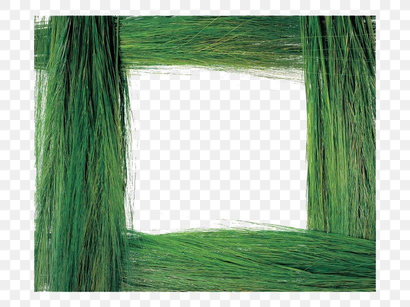 Grass Picture Frame Plant, PNG, 760x614px, Grass, Depositfiles, Green, Herbaceous Plant, Leaf Download Free