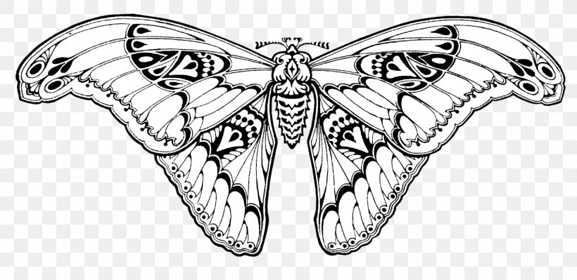 Brush-footed Butterflies Moth Butterfly Insect Wing, PNG, 1600x780px, Brushfooted Butterflies, Arthropod, Black And White, Brush Footed Butterfly, Butterfly Download Free