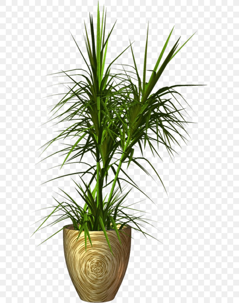 Palm Trees Flowerpot Clip Art Image, PNG, 613x1040px, Palm Trees, Arecales, Drawing, Flower, Flowerpot Download Free