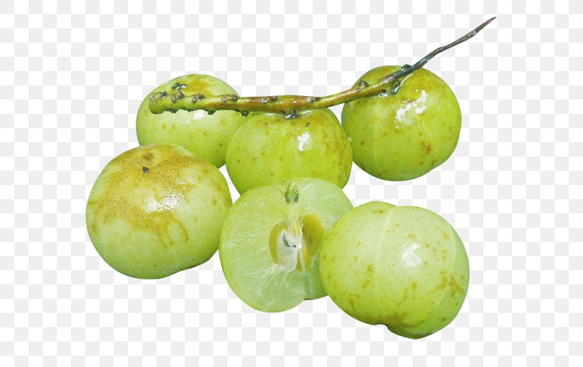 Food Greengage Enzyme Farm Alcoholic Drink, PNG, 600x516px, Food, Agriculture, Alcoholic Drink, Beer Brewing Grains Malts, Drinking Download Free