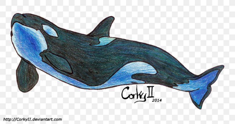 Killer Whale Common Bottlenose Dolphin Cetacea Car, PNG, 1024x540px, Killer Whale, Animal Figure, Automotive Design, Biology, Bottlenose Dolphin Download Free
