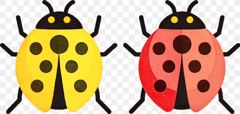 Ladybird Beetle Beetles Yellow Pattern Membrane, PNG, 1600x762px, Watercolor, Beetles, Insect, Ladybird Beetle, Membrane Download Free
